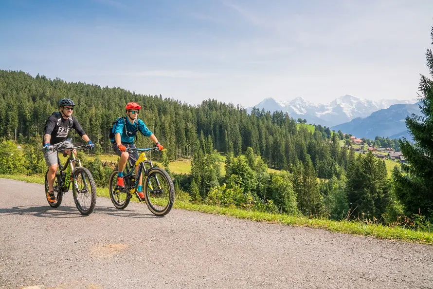 Two mountain bikers on the Beatenberg