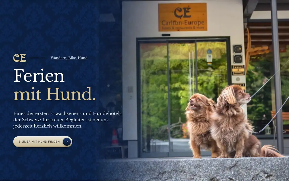 Mit Hund